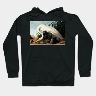 Bird of America  Bird, bird lover, america, beautiful  Public domain painting by John James Audubon Hoodie